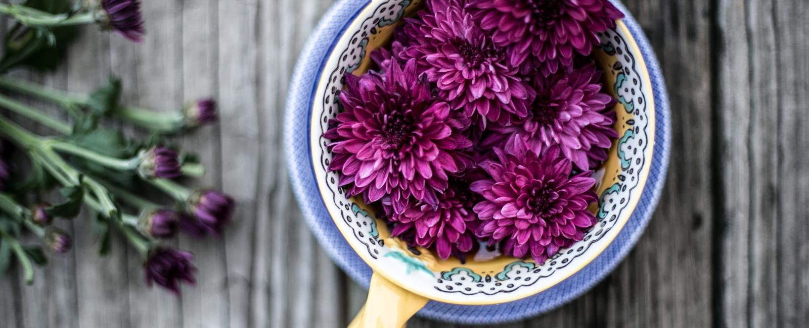 Decorative image for page header